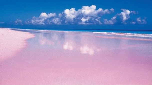 Розовый пляж Багамских островов в Эльютере Розовый пляж Багамских островов в Эльютере