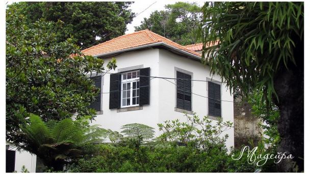 Ботанический сад Фуншал на Мадейре Ботанический сад Фуншал на Мадейре