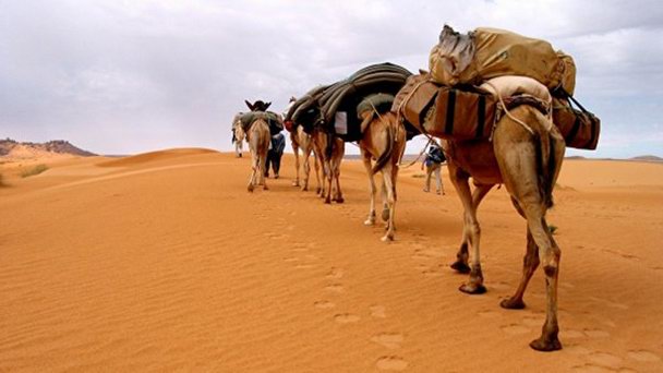 Эрг-Игиди в Нуакшоте