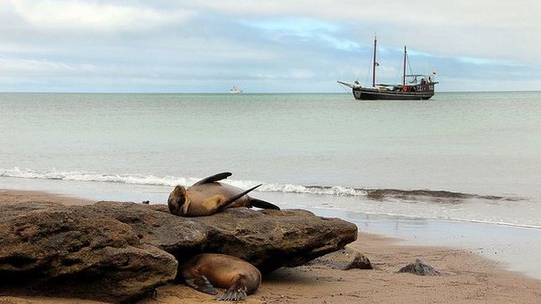 Остров Флореана на Галапагосских островах Остров Флореана на Галапагосских островах