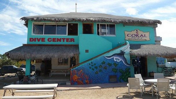 Дайвинг-центр Cabo Pulmo в Нижней Калифорнии