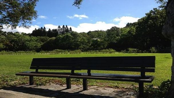 Парк Донг Хе в Тайпее