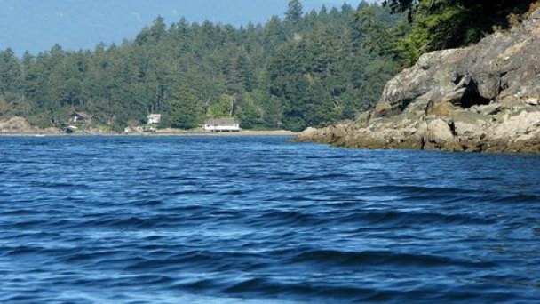 Река Кауичан в Британской Колумбии