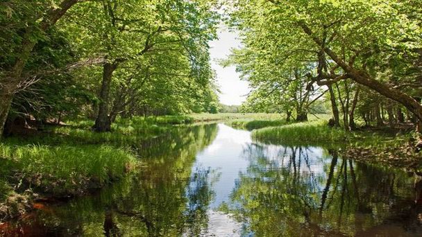 Озеро Кеджимкуджик в Новой Шотландии