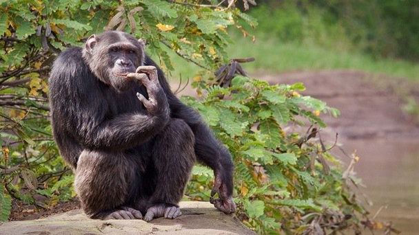 Заповедник Sweetwaters в Наньюки