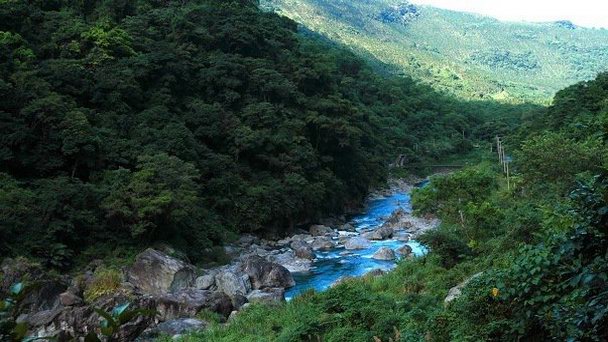 Лес Фуюань в Хуаляни