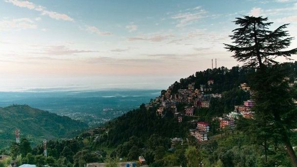 Национальный парк Шимла в Химачал-Прадеше