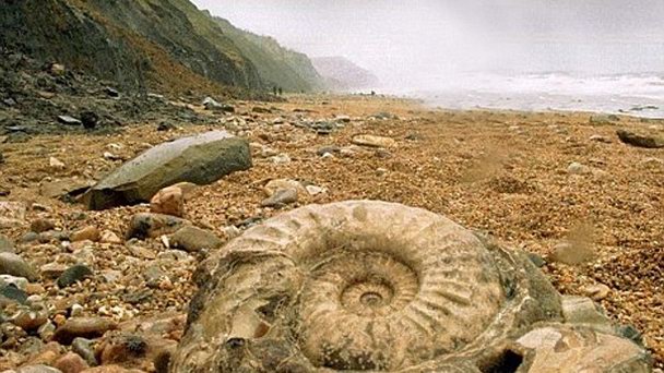 Пляж Юрского периода в Англии