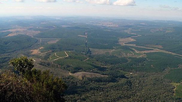 Обзорное место «Окно Бога» в Йоханнесбурге