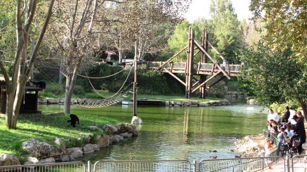 Библейский зоопарк в Иерусалиме Библейский зоопарк в Иерусалиме