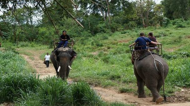 Парк слонов Saiyok в Канчанабури
