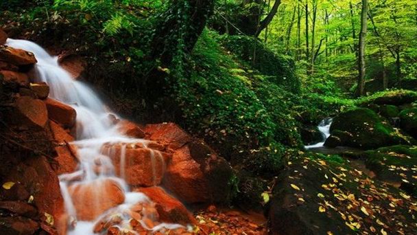 Суха Каменица в Чешская Швейцария Нац. Парке