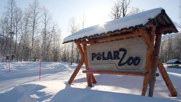 Полярный зоопарк в Нурланне