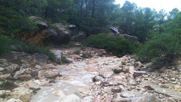 Национальный парк Чаамби в Тунисе