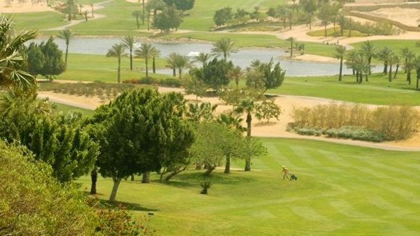 Katameya Heights Golf and Tennis Resort в Каире