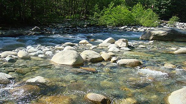 Национальный парк Lynn Canyon в Ванкувере