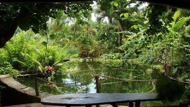 Ботанические сады Бэй-Гарденс на Гренаде