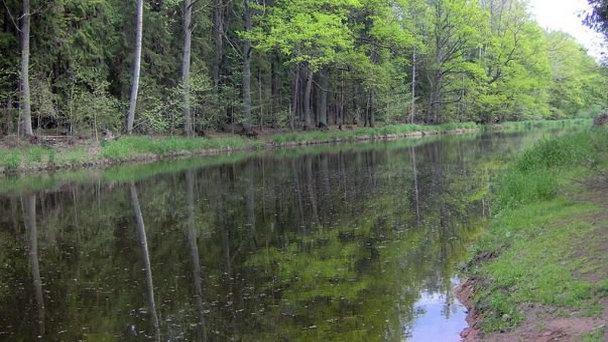 Новая речка в Тршебоне