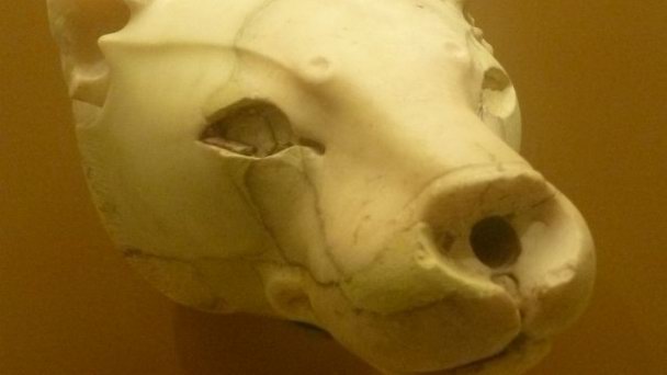 Археологический музей Ираклиона на Острове Крит Археологический музей Ираклиона на Острове Крит