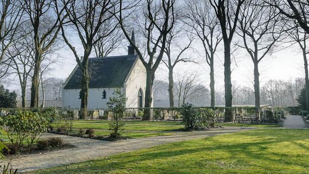 Замок Coelhorst в Утрехте