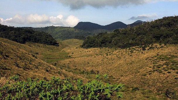 Плато Хортон в Дамбулле Плато Хортон в Дамбулле