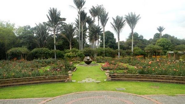 Ботанический сад Хосе-Селестино-Мутиса в Боготе