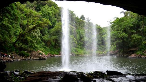 Экологический заповедник Лима в Риу-Гранди-ду-Суле