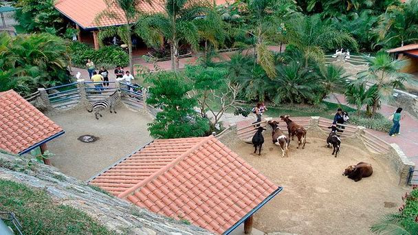 Expanzoo Expansion Centro Educativo Recreacional в Каракасе