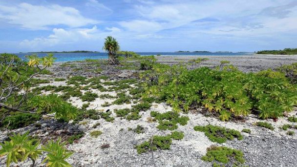 Остров Моту-Манникиба на о-вах Лайне Остров Моту-Манникиба на о-вах Лайне