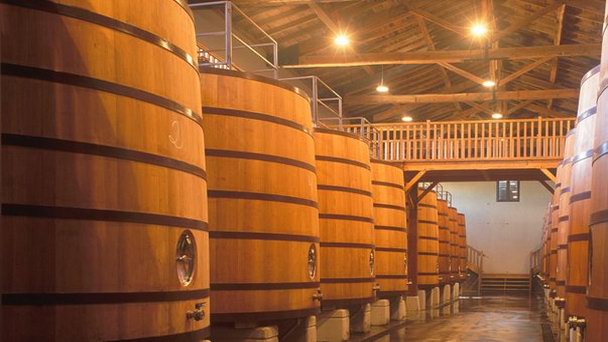 Винные погреба «Бодегас Де Наварра» Винные погреба «Бодегас Де Наварра»