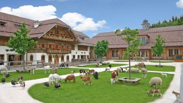 Приют Гут Айдербихл в Зальцбурге