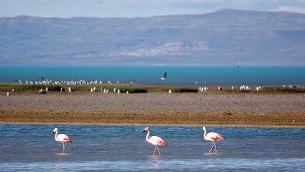 Лагуна Нимез в Эль-Калафате