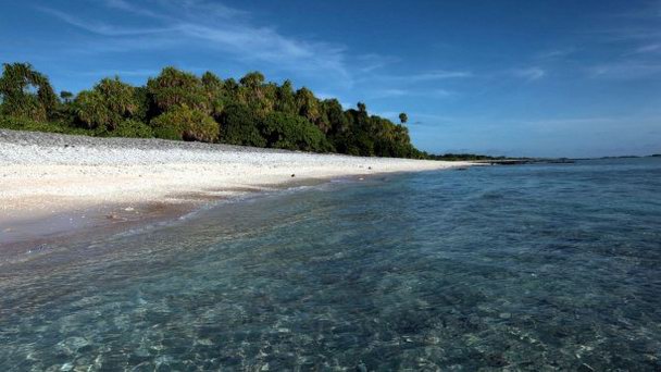 Остров Панданус на о-вах Лайне Остров Панданус на о-вах Лайне