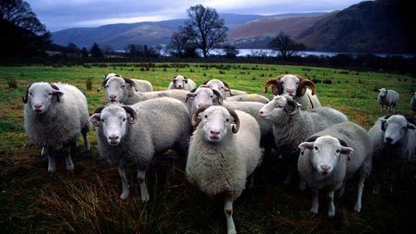 Озерный край в Англии