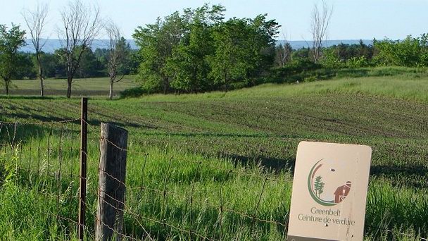 Зелёный пояс Оттавы в Оттаве