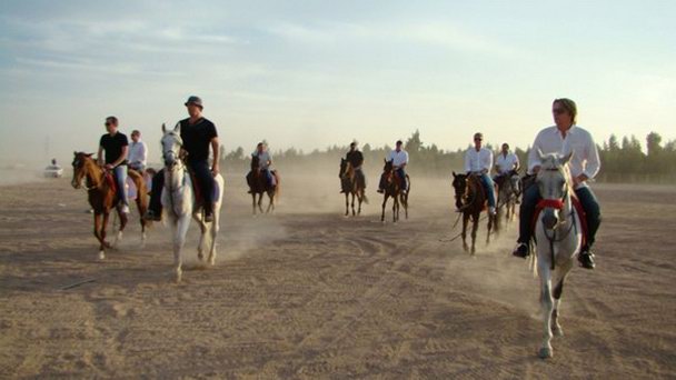 Конюшня в Дахабе