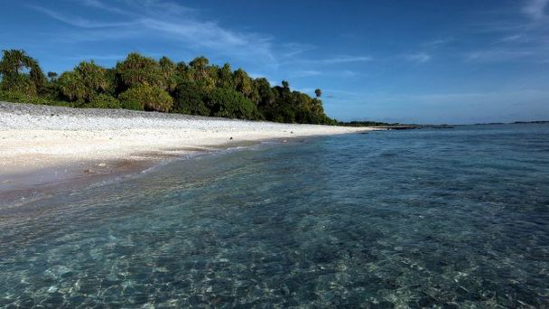 Остров Нейк на о-вах Лайне Остров Нейк на о-вах Лайне