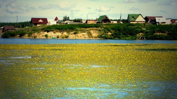 Деревня завьялово. Село Завьялово в Искитимском районе Новосибирской.