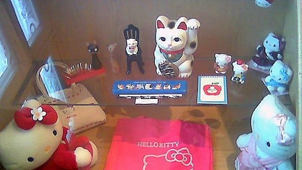 Музей кошек в Шауляе