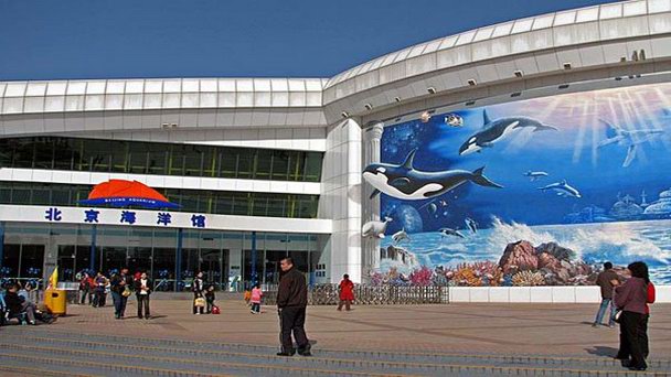 Аквариум Голубой Зоопарк Пекина Аквариум Голубой Зоопарк Пекина