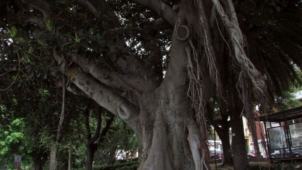 ИТАЛИЯ. КАЛАБРИЯ. РЕДЖО КАЛАБРИЯ.НАБЕРЕЖНАЯ в Калабрии