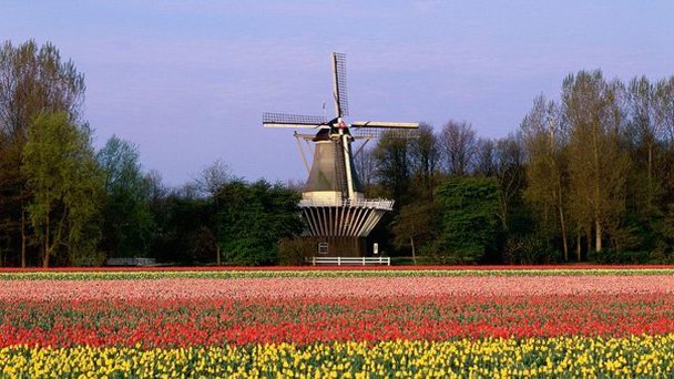 Парк Кейкенхоф в Амстердаме
