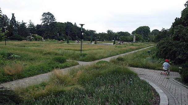 Парк Джексон в Онтарио