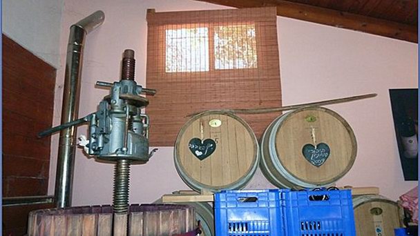 Винодельня Милес в Галилее