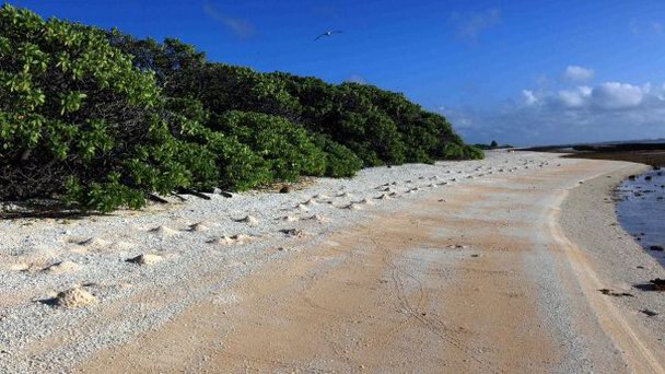 Остров Лонг на о-вах Лайне Остров Лонг на о-вах Лайне