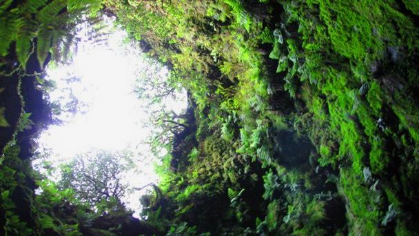 Пещера Algar do Carvao на Азорских островах