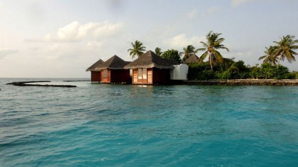 Школа серфинга Surf Holidays в Атолле Мале