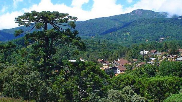 Поселок Монтеверде в Пунтаренасе