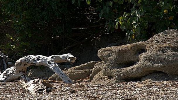 Третье ущелье в Пицунде