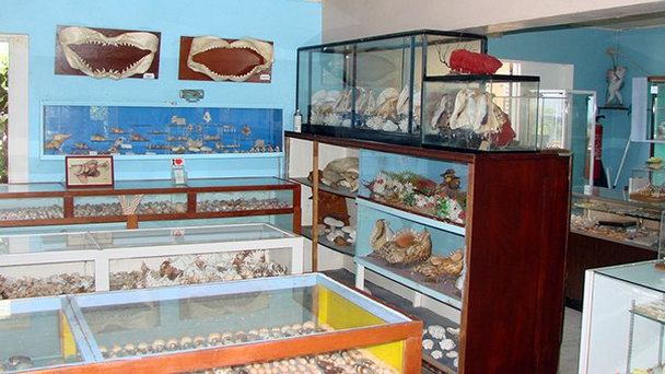 Музей океанских раковин Индженю Маграса в Сене-Бартелeми